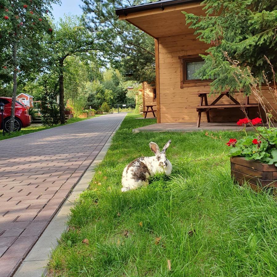 Hotel Ow Gabi Mrzeżyno Esterno foto